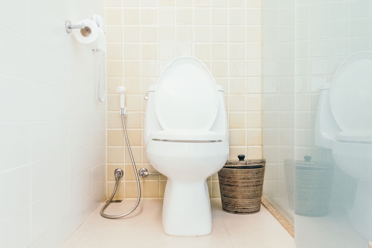 Cuvette de WC blanche avec abattant relevé, flexible de douchette hygiénique au mur et corbeille en osier.