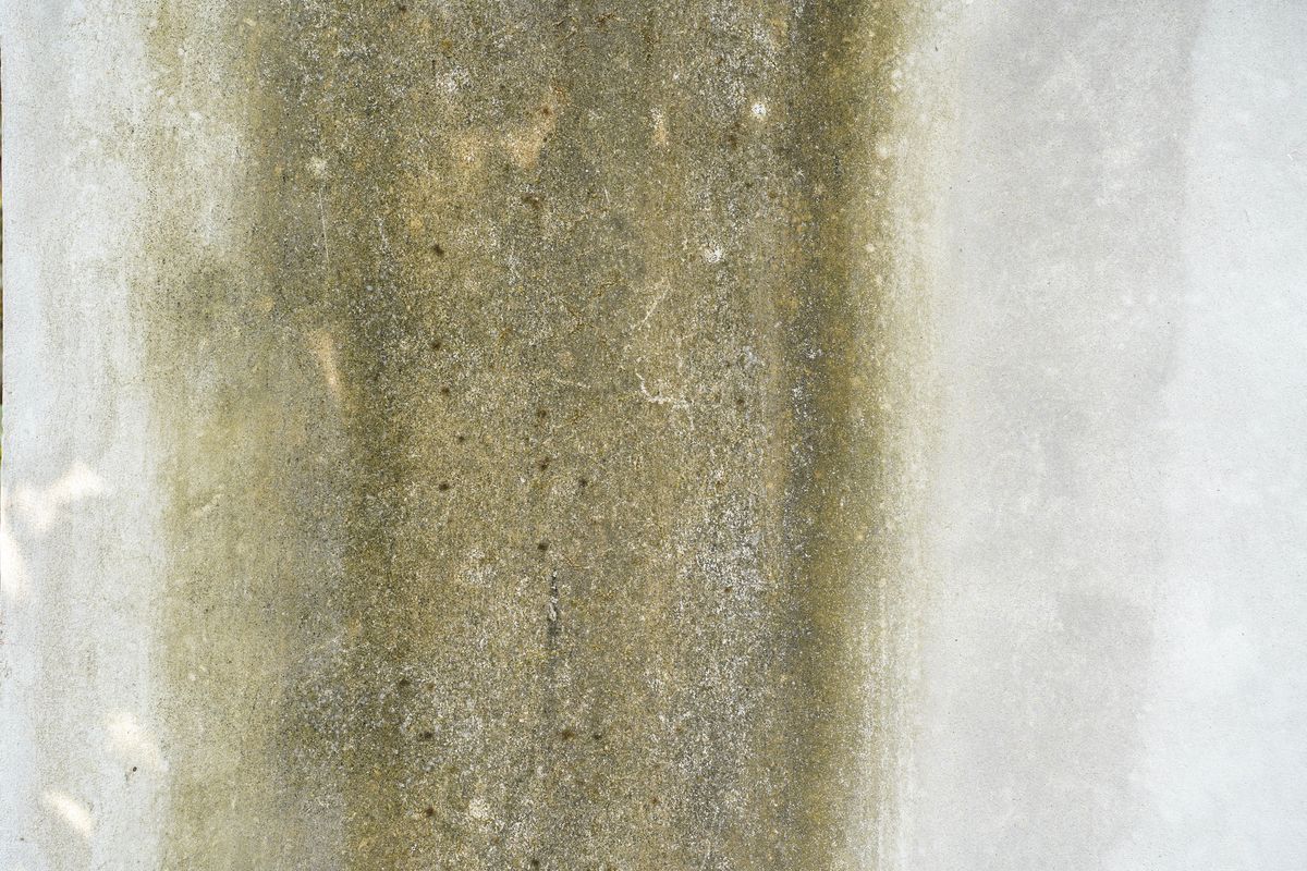 Mur en béton marqué d'une large traînée verticale d'humidité, verdâtre et chargée de dépôts.