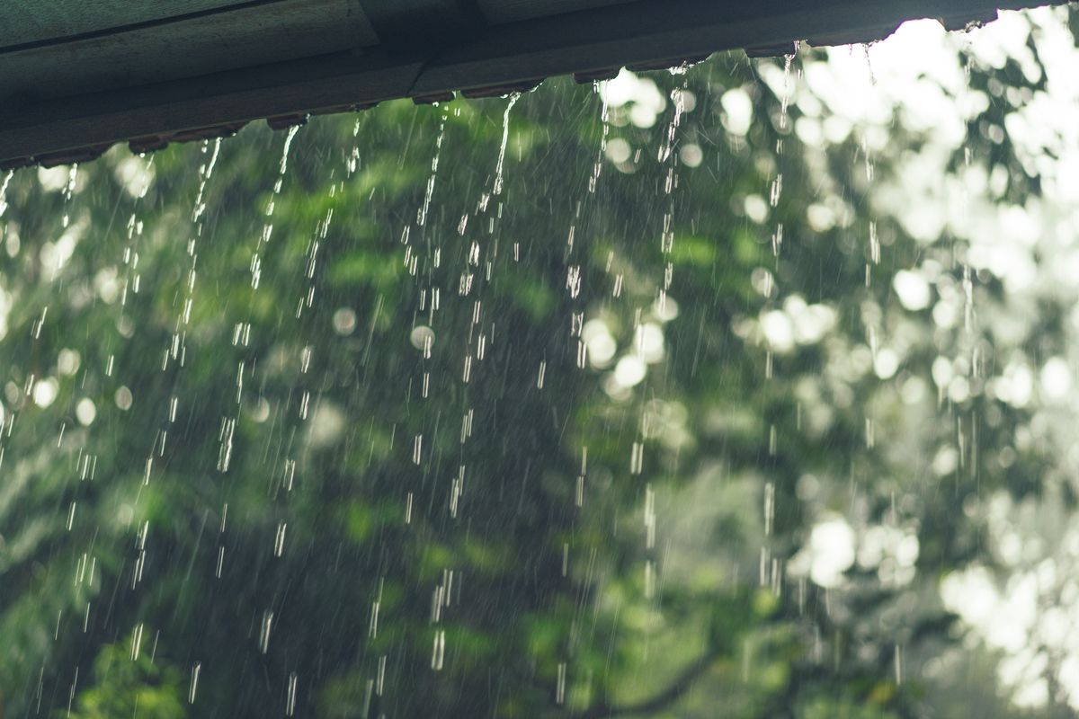 Pluie abondante tombant en filets depuis le bord d'un toit, devant un feuillage vert flou.